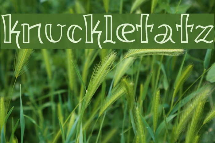 knuckletatz Font examples