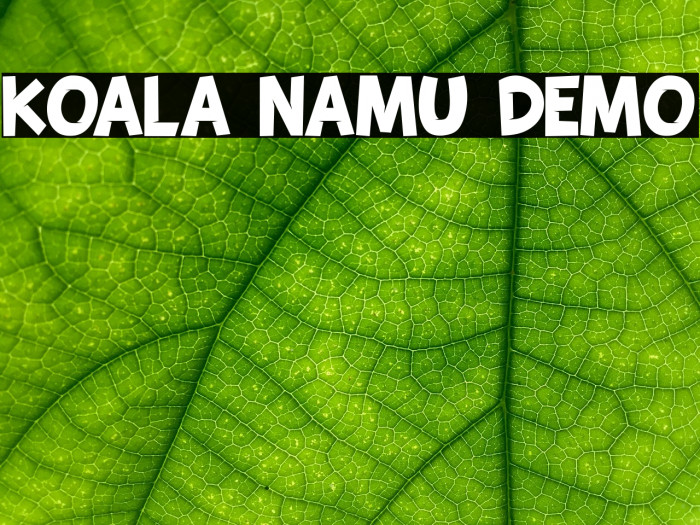 KOALA NAMU DEMO Font examples