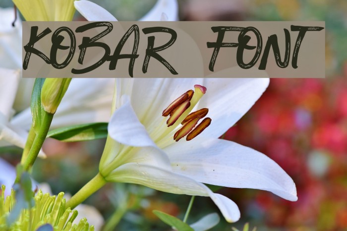 KOBAR FONT Font examples