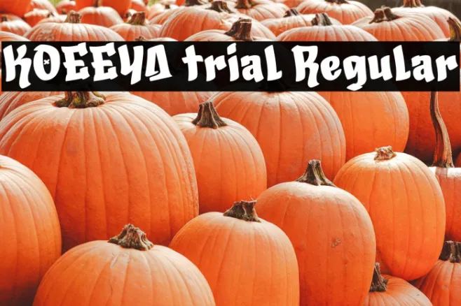 KOEEYA trial Regular Example 1