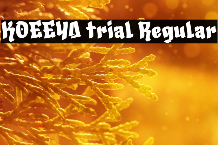 KOEEYA trial Regular Example 2