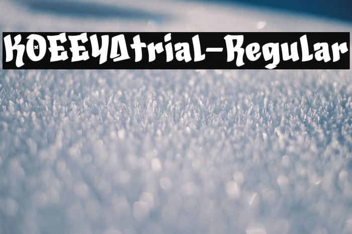 KOEEYAtrial-Regular Example 1