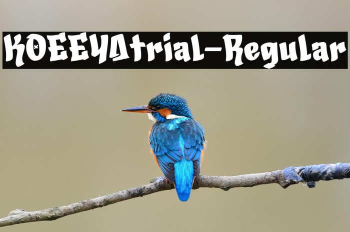 KOEEYAtrial-Regular Example 2