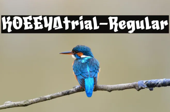 KOEEYAtrial-Regular Example 2