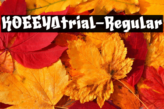 KOEEYAtrial-Regular Example 3