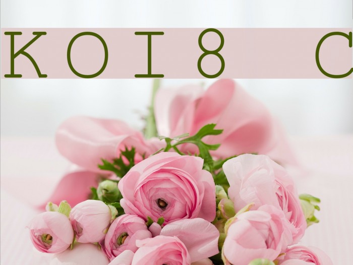 KOI8 Courier Font examples
