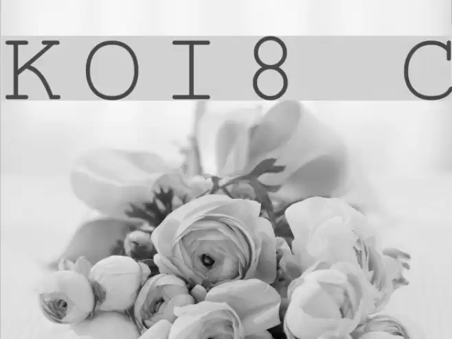 KOI8 Courier Шрифта examples