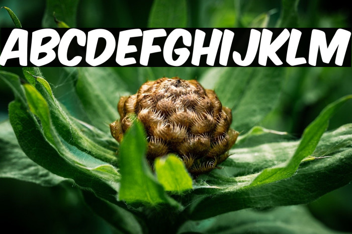 KOMIKAX خط examples