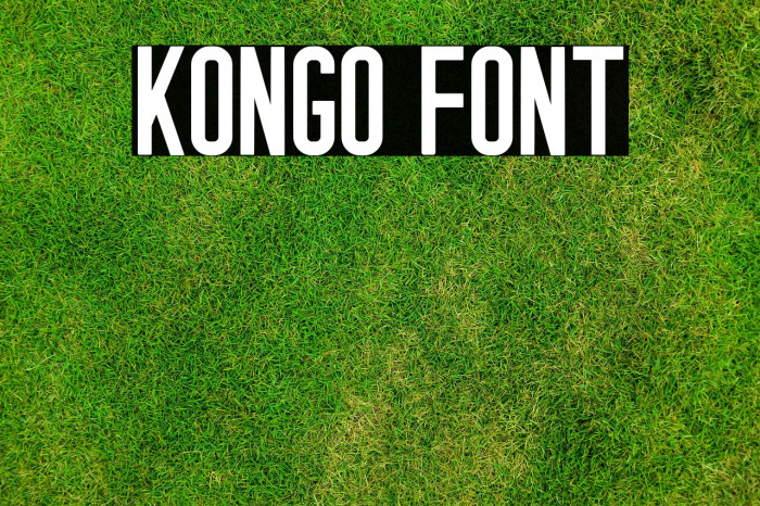 KONGO Example 2