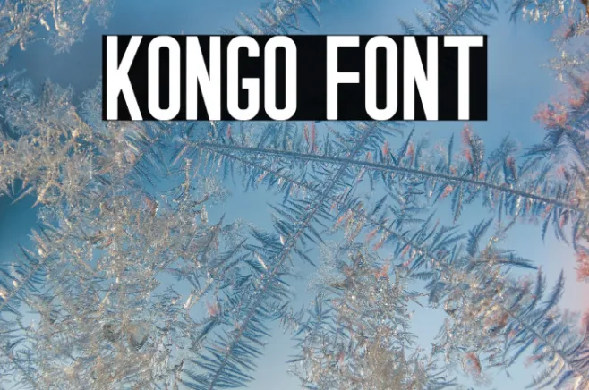 KONGO Example 3