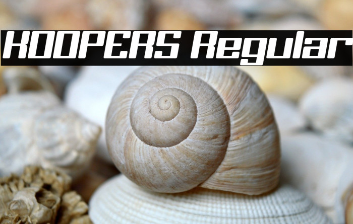 KOOPERS Regular Caratteri examples