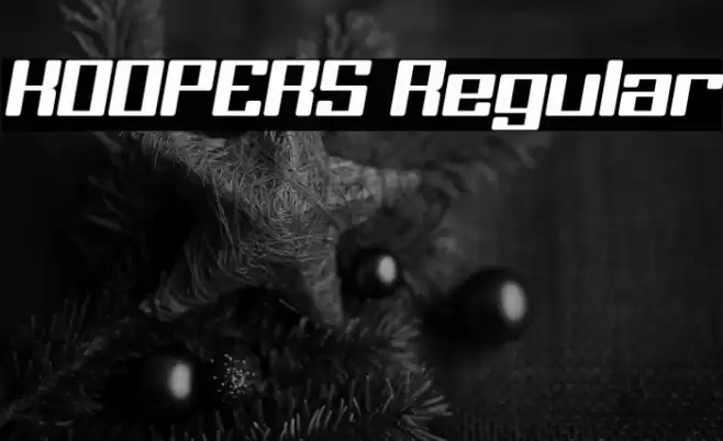 KOOPERS Regular Fonte examples