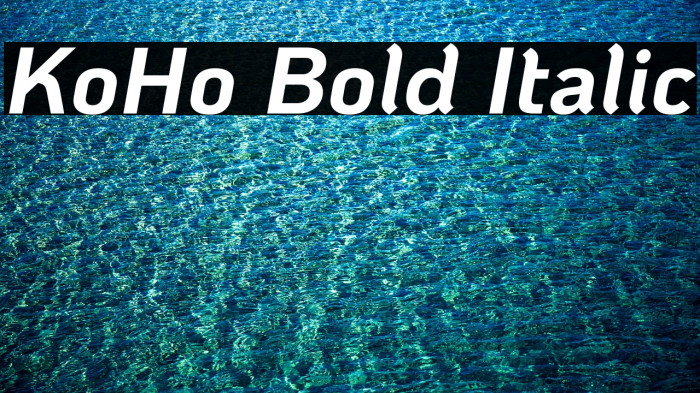 KoHo Bold Italic Font examples