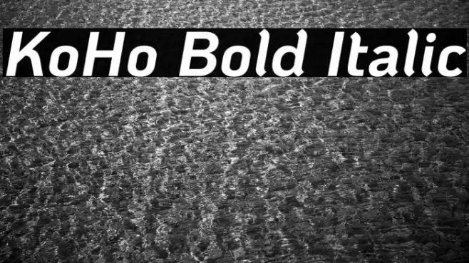 KoHo Bold Italic Schriftart examples