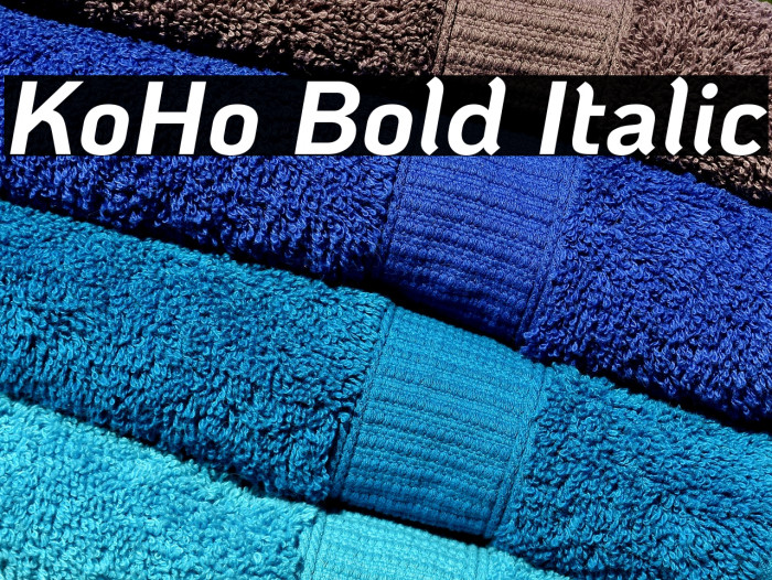 KoHo Bold Italic Font examples