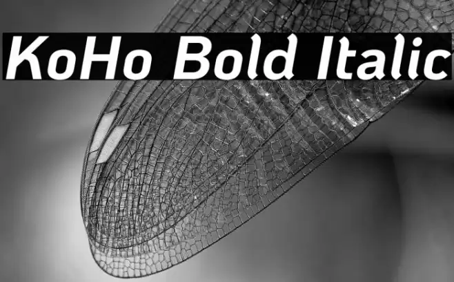 KoHo Bold Italic Schriftart examples