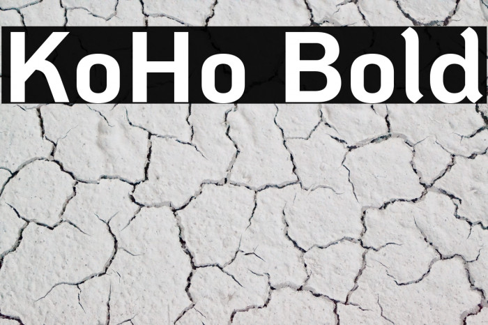 KoHo Bold Polices examples
