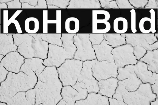 KoHo Bold Polices examples