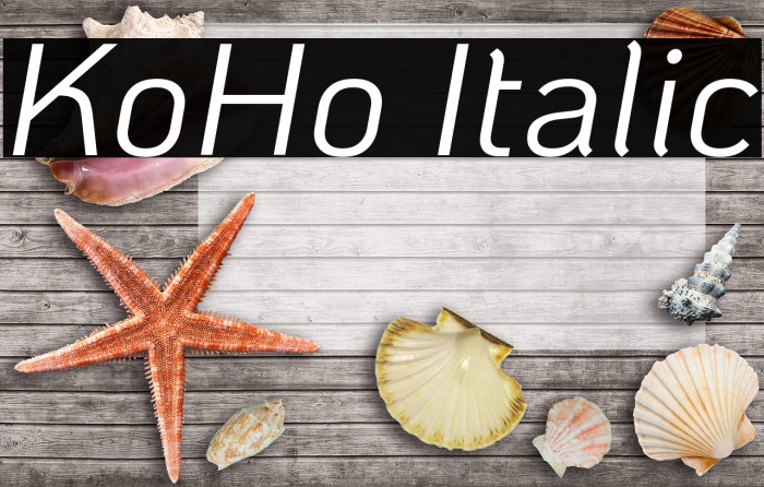 KoHo Italic Font examples