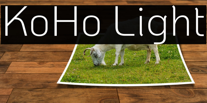 KoHo Light Font examples