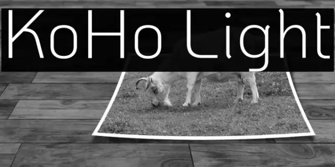 KoHo Light Font examples