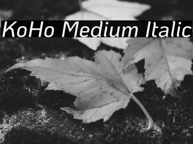 KoHo Medium Italic Caratteri examples