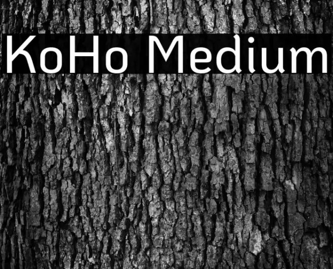 KoHo Medium Fuentes examples