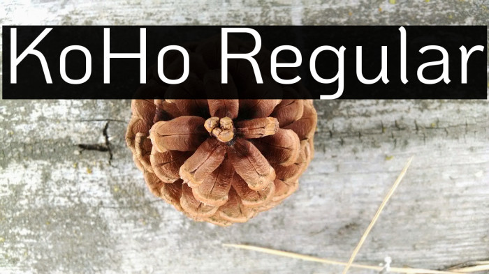 KoHo Regular फ़ॉन्ट examples