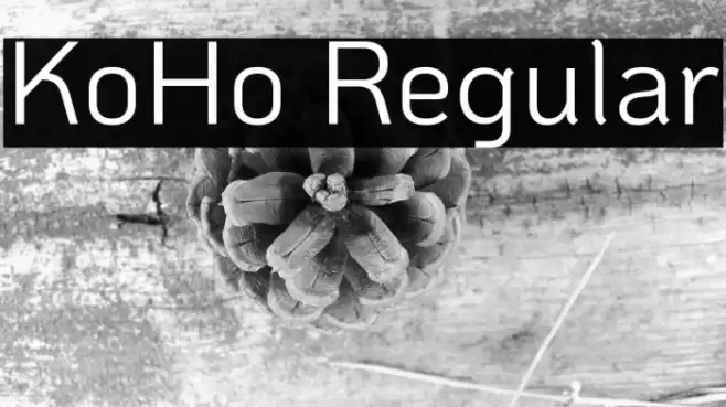 KoHo Regular Font examples