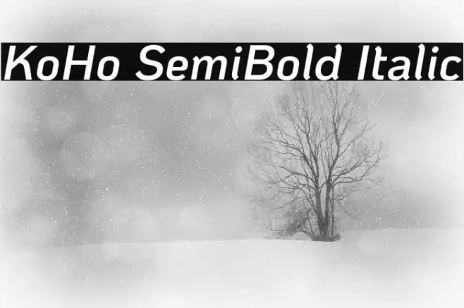 KoHo SemiBold Italic Fonte examples