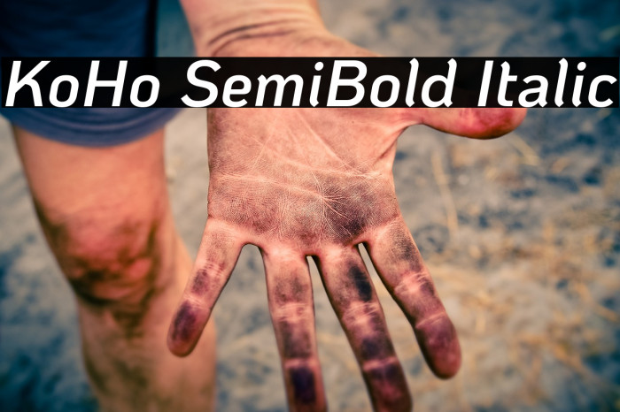 KoHo SemiBold Italic Schriftart examples