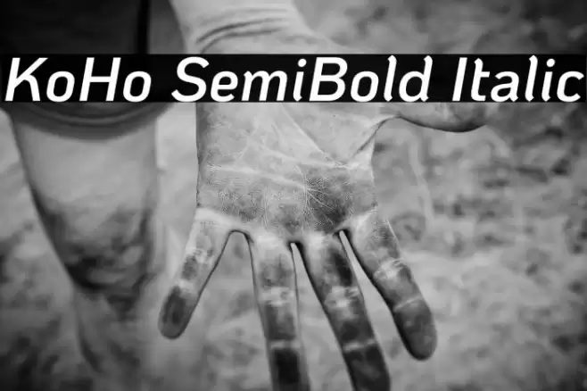 KoHo SemiBold Italic Fonte examples