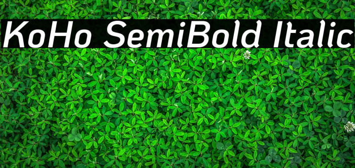 KoHo SemiBold Italic Schriftart examples