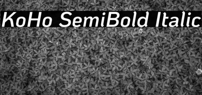 KoHo SemiBold Italic Fonte examples