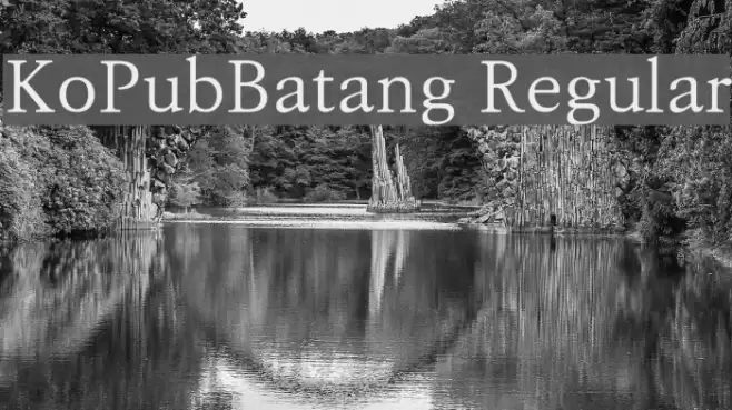 KoPubBatang Regular Шрифта examples