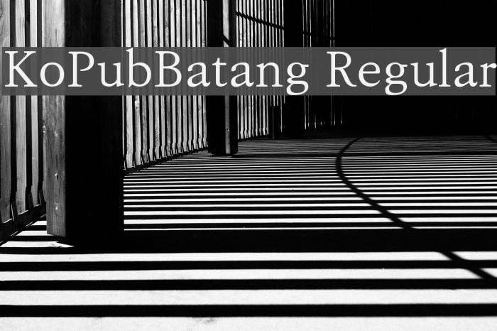 KoPubBatang Regular Font examples