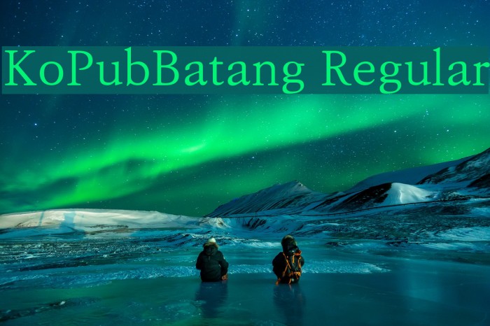 KoPubBatang Regular Font examples