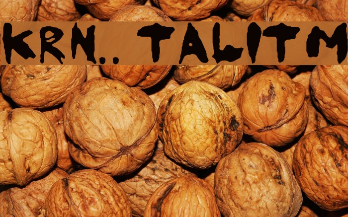 KoRnNet.too.it TALITM Font examples