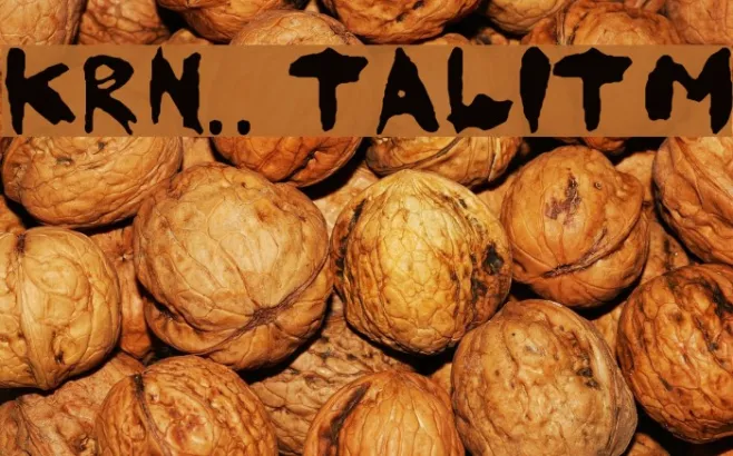 KoRnNet.too.it TALITM Example 1