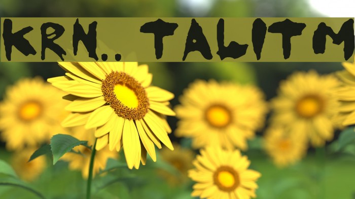 KoRnNet.too.it TALITM Font examples