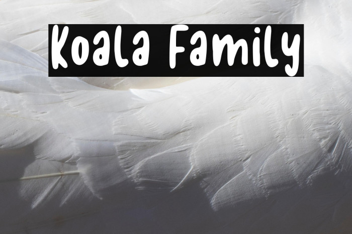 Koala Family Example 2