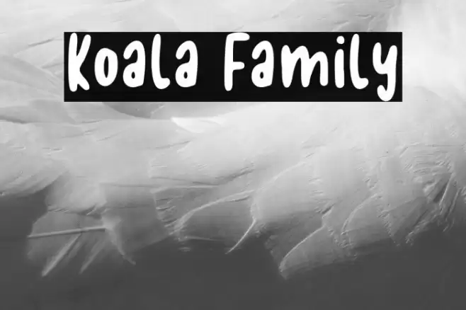 Koala Family Font examples