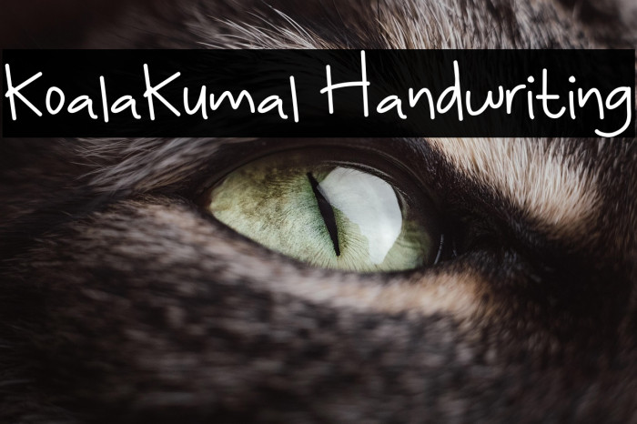KoalaKumal Handwriting Example 2