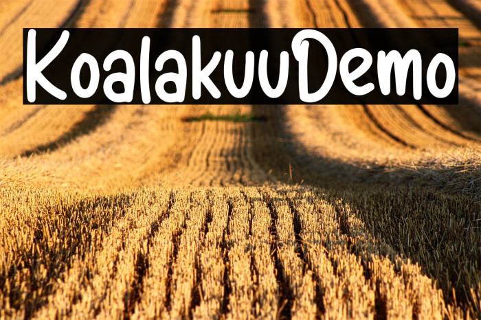 KoalakuuDemo Example 1