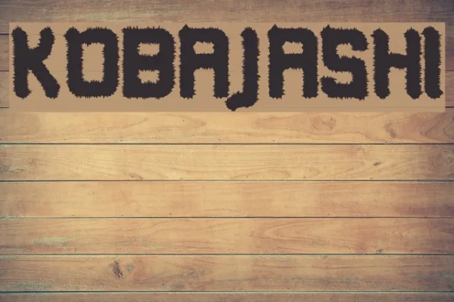 Kobajashi Example 1