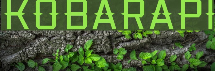 Kobarapi Font examples