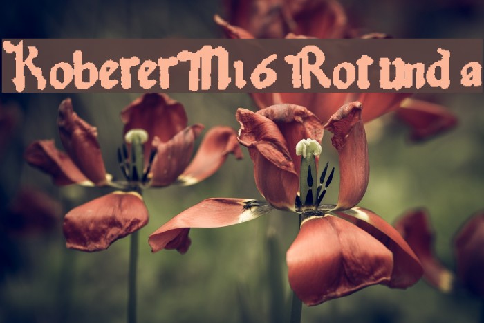 KobergerN16Rotunda Example 1