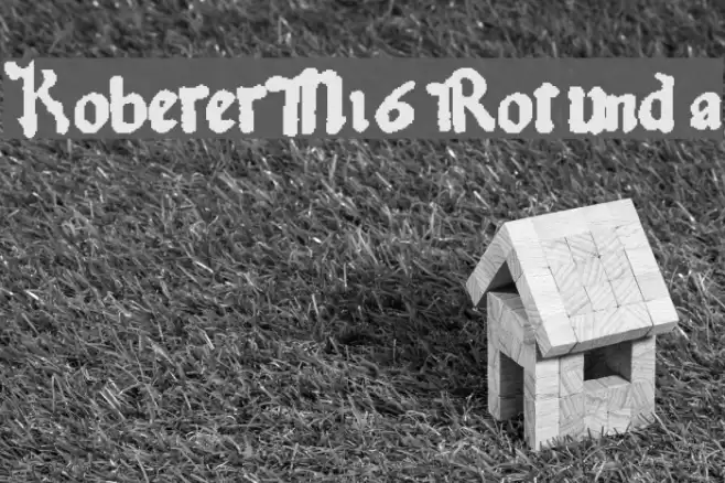 KobergerN16Rotunda Font examples