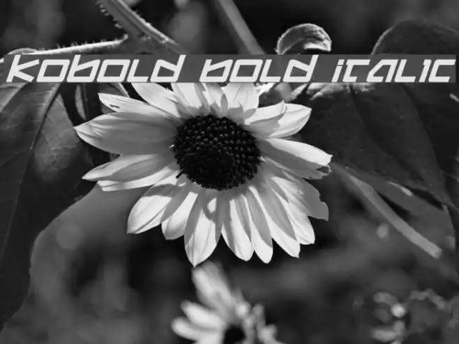 Kobold Bold Italic Font examples