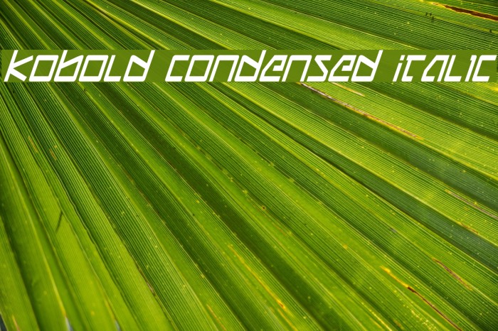 Kobold Condensed Italic Caratteri examples